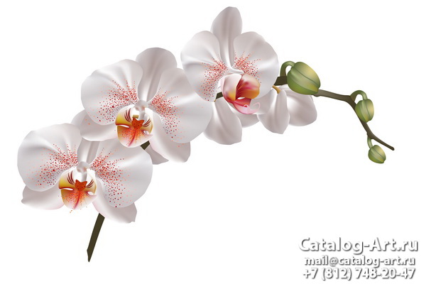 Натяжные потолки с фотопечатью - Белые орхидеи 24